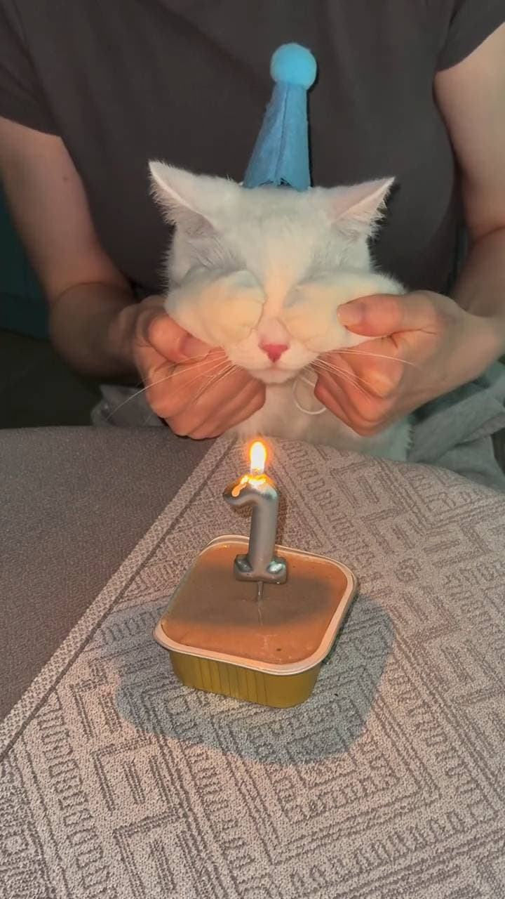 Poster for A little kitten is having a birthday.