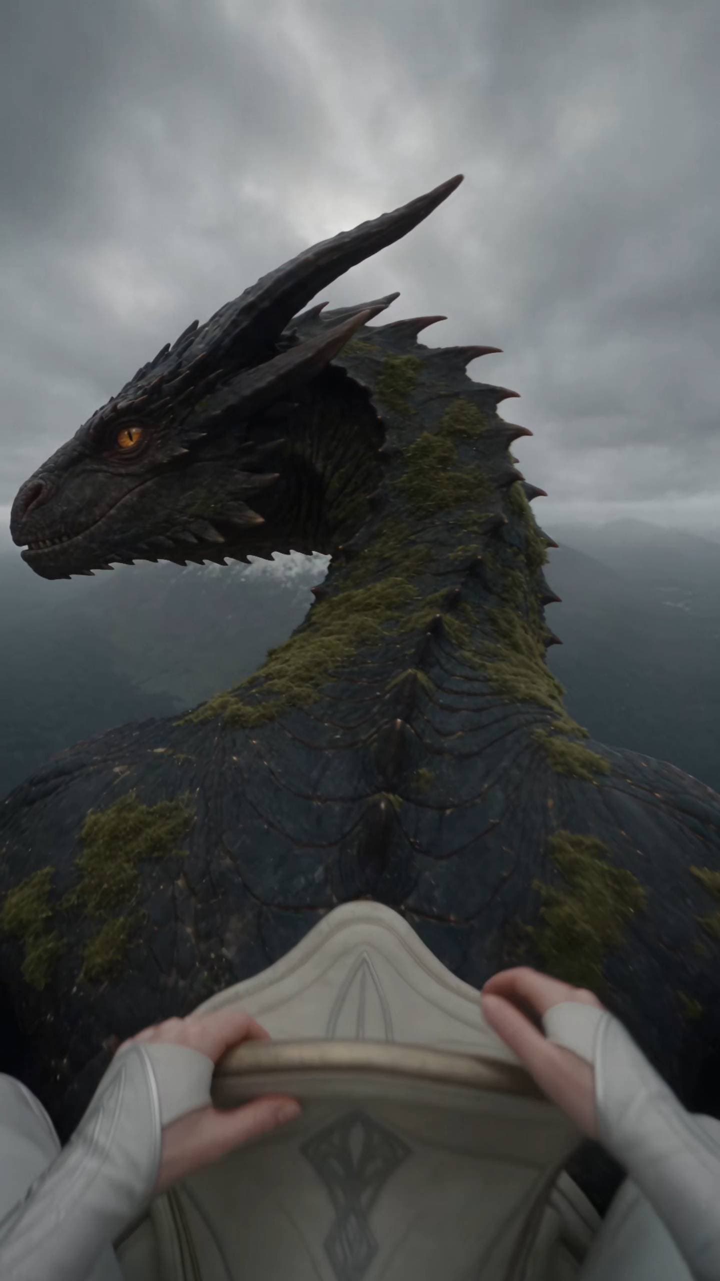 Poster for Riding a dragon – this is the feeling.