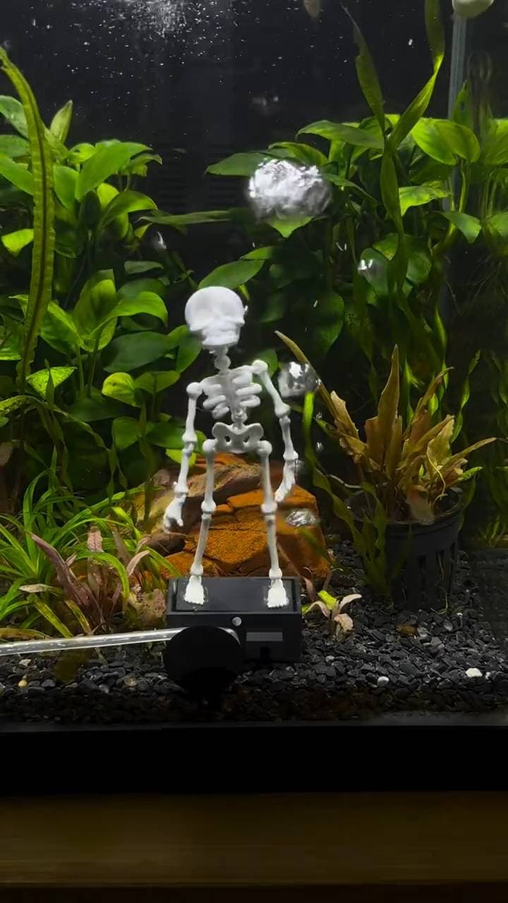 Poster for A dancing skeleton.