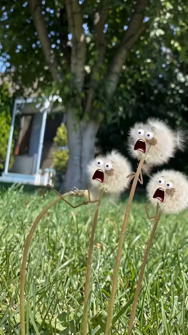 Poster for Help dandelions drift on the wind.