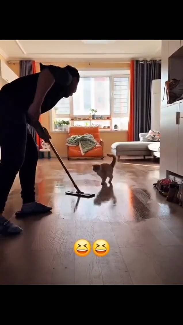 Poster for A kitten mopping the floor with its owner.