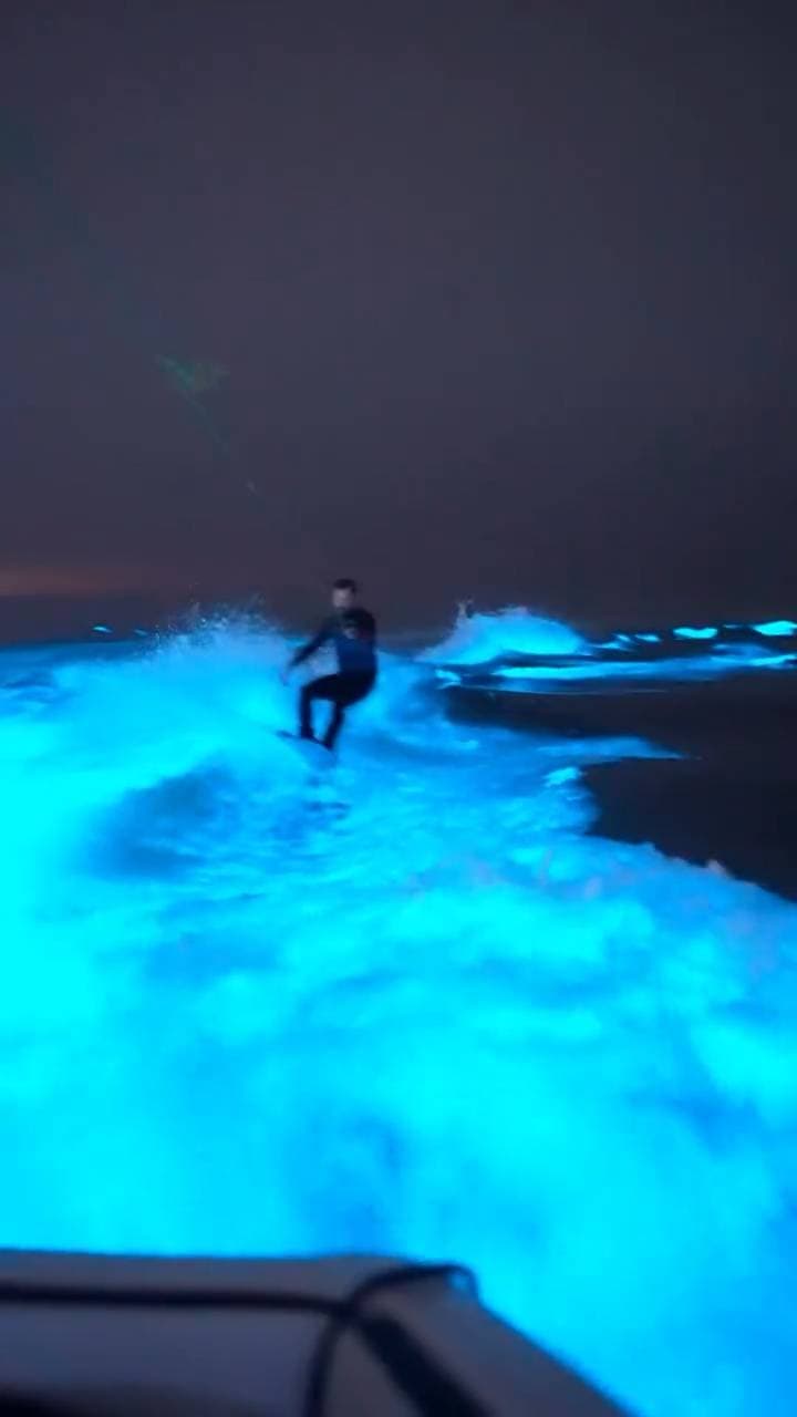 Poster for Surfing at the beach at night.